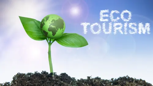 Eco turismo