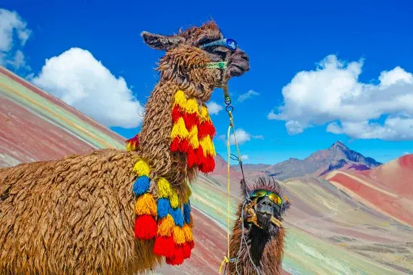 Day trips and short adventures in Peru