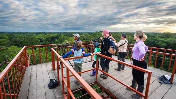3 day tambopata national reserve tour macaw clay lick junglepro family
