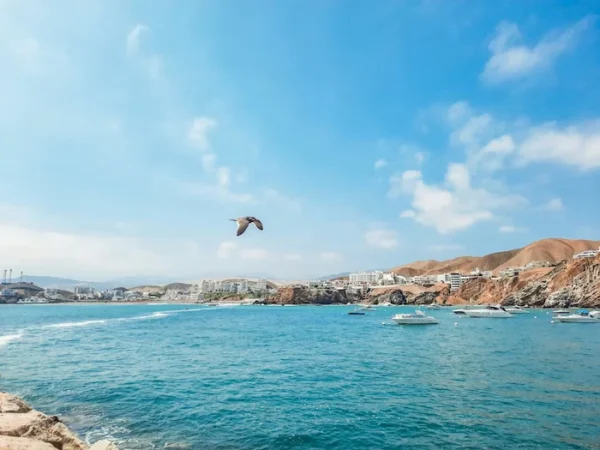 Complete guide to summer in Peru