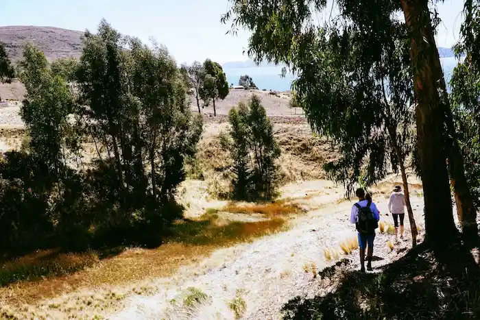 Image of a traveler trekking along a well-known route in Peru during the summer.