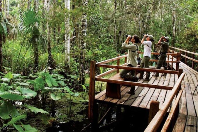 Tambopata National Reserve 4 Days