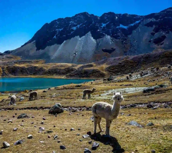 Best tips for the Ausangate Treks