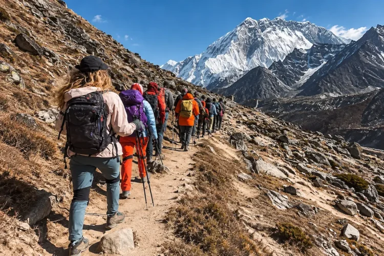 What Is the Difference Between Hiking and Trekking