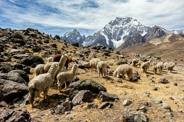 Peruvian Andes landscape